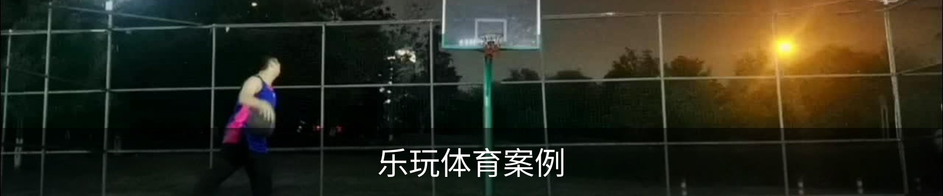 乐玩体育案例